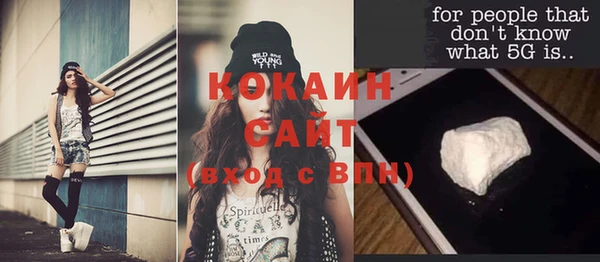дмт Бородино