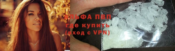 дмт Бородино