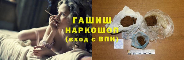 дмт Бородино