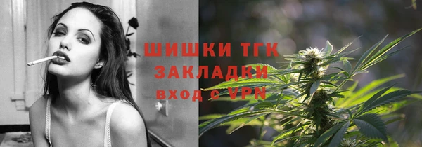 дмт Бородино