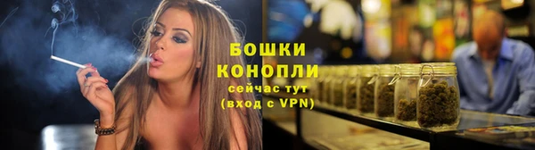 дмт Бородино