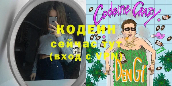дмт Бородино