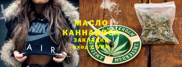 дмт Бородино