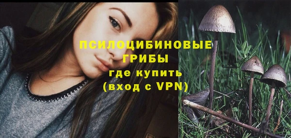 амф Бронницы