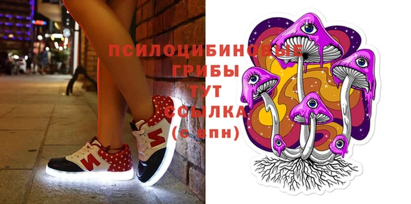 дмт Бородино