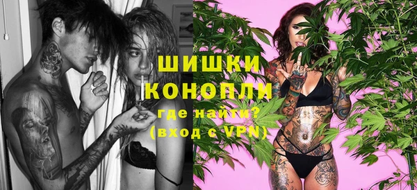 амф Бронницы