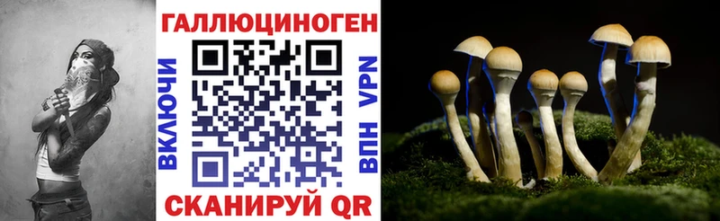 Псилоцибиновые грибы мицелий  магазин    Коломна 